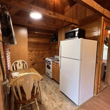 Cozy Cabin With Breathtaking Views Near Dollywood 鸽子谷 外观 照片