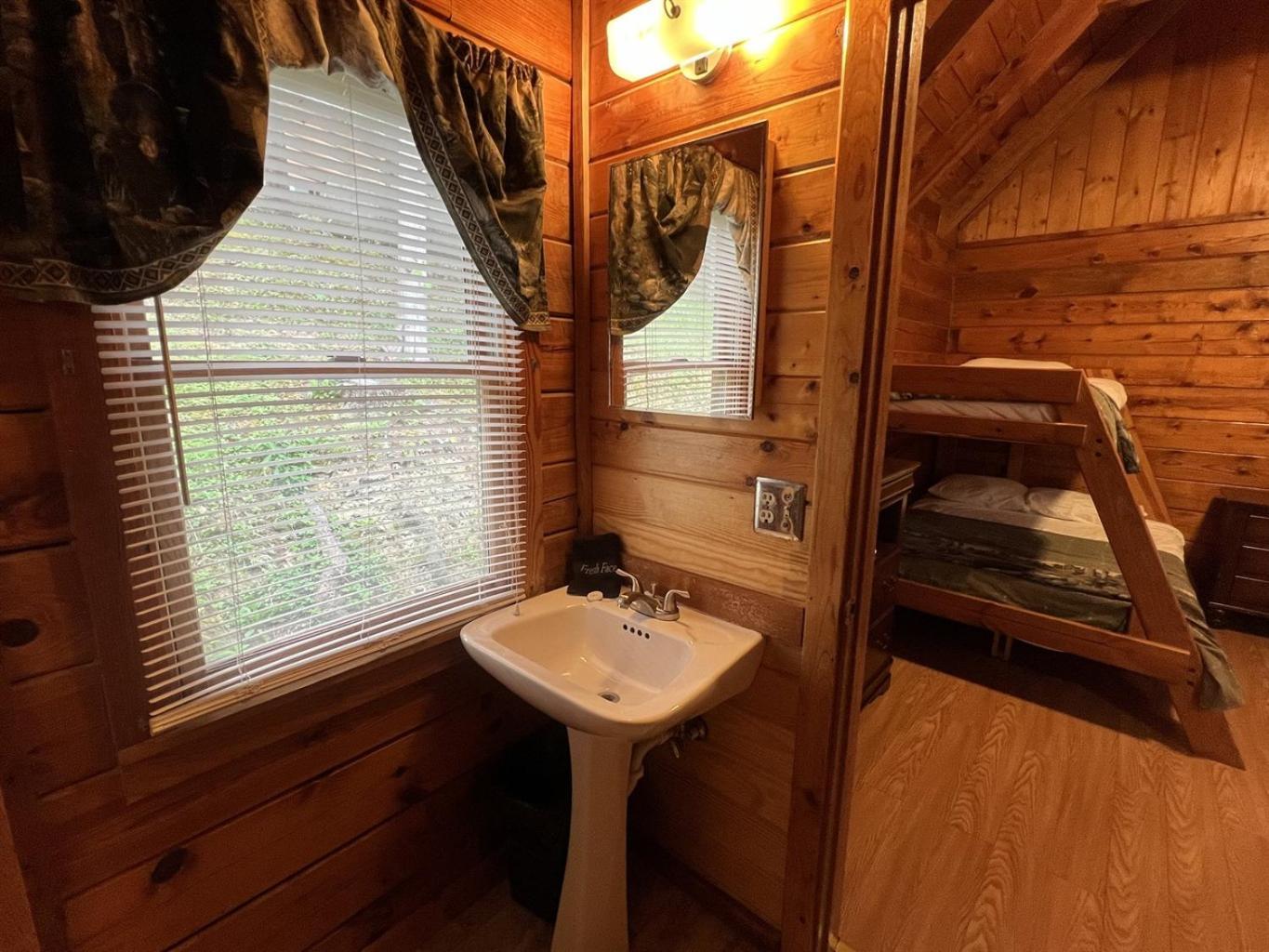 Cozy Cabin With Breathtaking Views Near Dollywood 鸽子谷 外观 照片